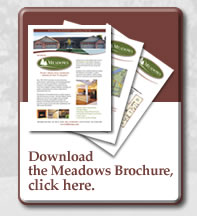 Download the Meadows at Greenlake PDF Brochure - Click Here.