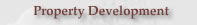 Property Development