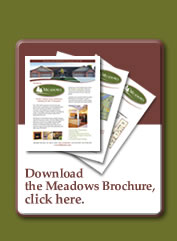 Download the Meadows at Greenlake PDF Brochure - Click Here.