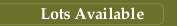 Lots Available - Plat Layout